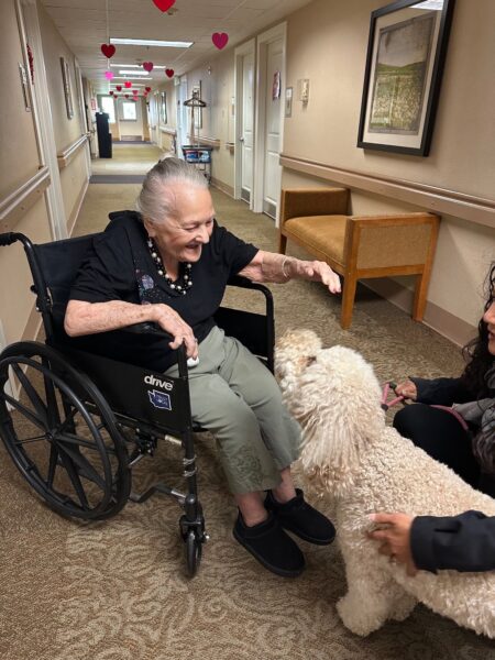 elderly women petting white dog at spring ridge assisted living and memory care; contact us for pet therapy details